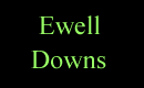 Ewell Downs Area